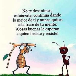 Meet your Posher, Alejandra